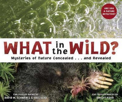 What In The Wild? book