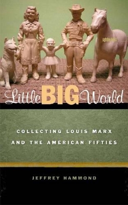 Little Big World book