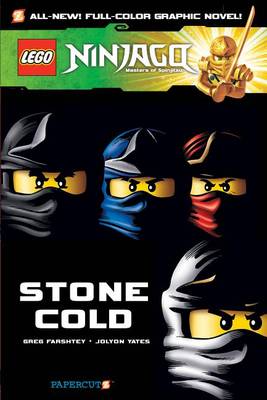 Lego Ninjago: Stone Cold book