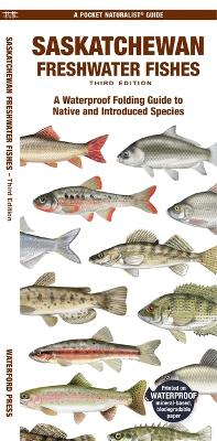 Saskatchewan Freshwater Fishes: A Waterproof Folding Guide to Native and Introduced Species book