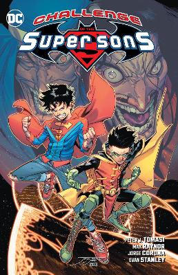 Challenge of the Super Sons book