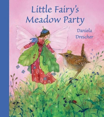 Little Fairy's Meadow Party book