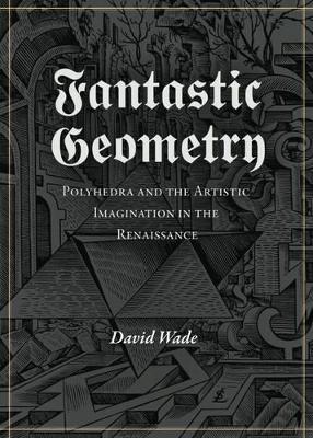 Fantastic Geometry book