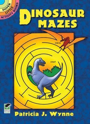 Dinosaur Mazes book