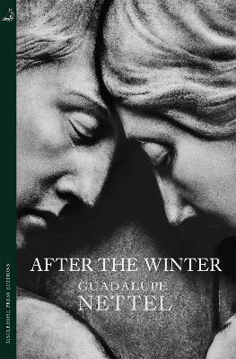 After the Winter by Guadalupe Nettel