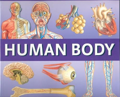 Panorama: Human Body book