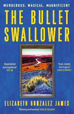 The Bullet Swallower by Elizabeth Gonzalez James