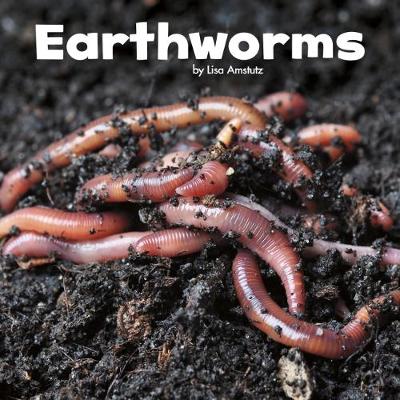 Earthworms by Lisa J Amstutz