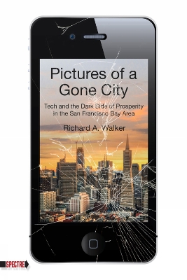 Pictures Of A Gone City book