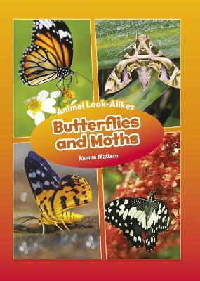 Butterflies and Moths book