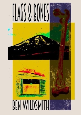 Flags & Bones book