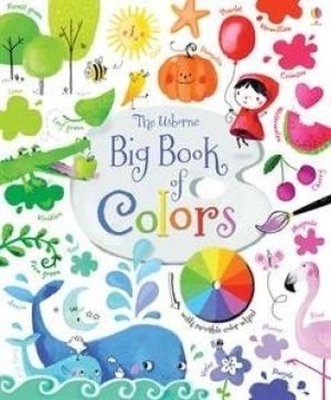 Big Book of Colors book