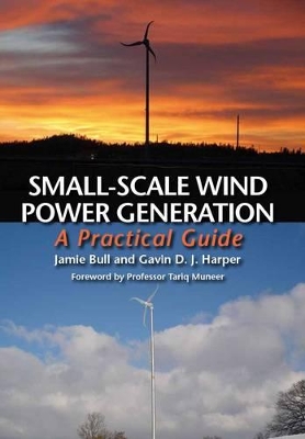 Small-Scale Wind Power Generation book