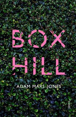 Box Hill: A story of low self-esteem book