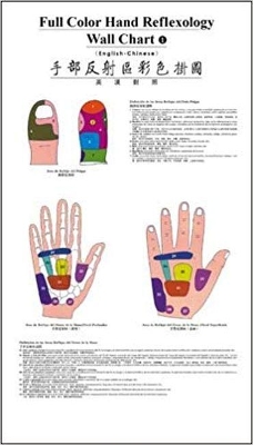 Full Color Hand Reflexology Wall Chart (English-Chinese) book