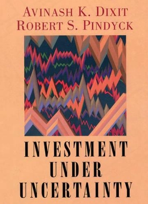 Investment under Uncertainty book