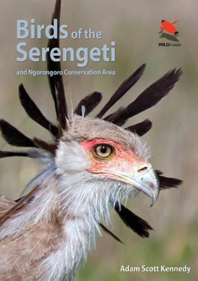 Birds of the Serengeti book