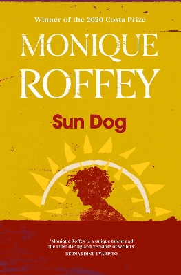 Sun Dog book