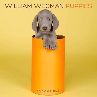 William Wegman Puppies 2016 Wall Calendar book