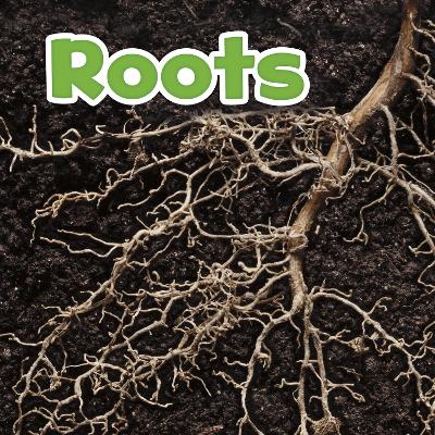 Roots by Marissa Kirkman