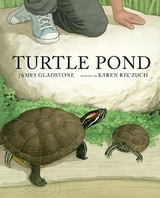 Turtle Pond book