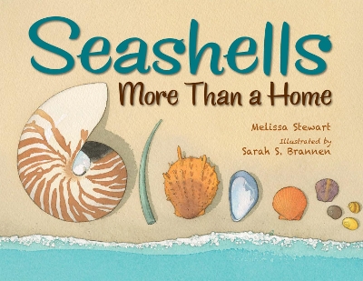 Seashells: More Than a Home book
