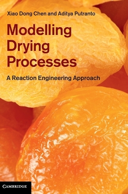 Modelling Drying Processes book