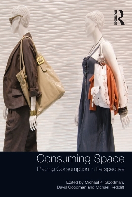 Consuming Space: Placing Consumption in Perspective book
