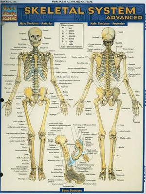 Skeletal System: Advanced book