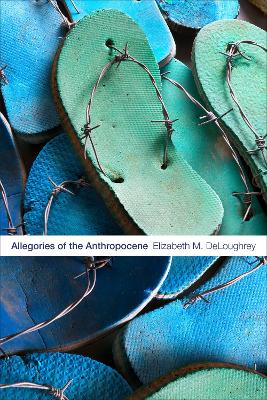 Allegories of the Anthropocene book