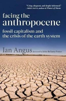 Facing the Anthropocene book