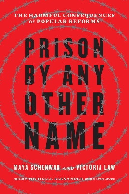 Prison by Any Other Name: The Harmful Consequences of Popular Reforms book