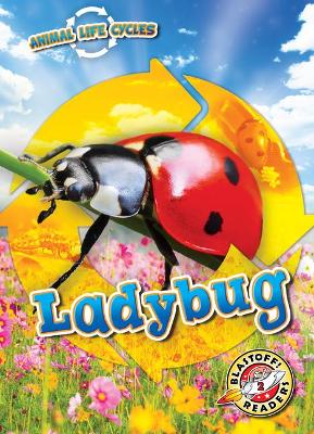 Ladybug book