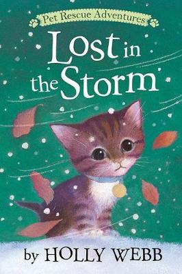 Lost in the Storm book