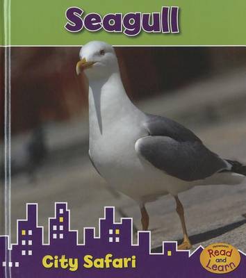 Seagull by Isabel Thomas