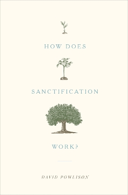 How Does Sanctification Work? book