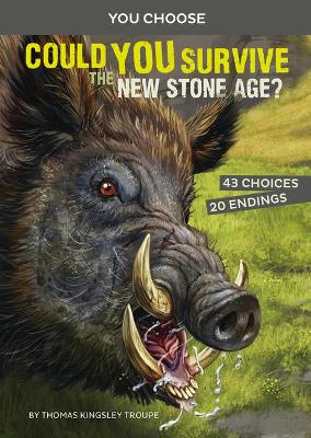 Prehistoric Survival: Could You Survive the New Stone Age?: An Interactive Prehistoric Adventure book