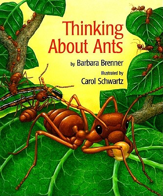 Thinking about Ants book