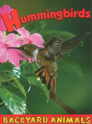 Hummingbirds by Heather C. Hudak