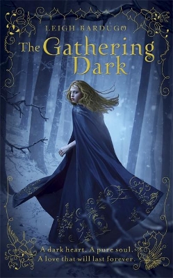 Gathering Dark book
