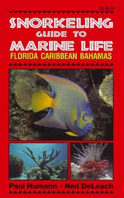 Snorkeling Guide to Marine Life book