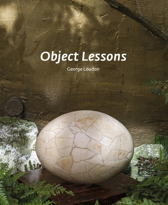 Object Lessons book