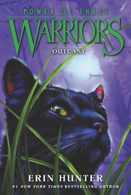 Warriors: Power of Three #3: Outcast book