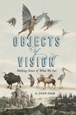 Objects of Vision: Making Sense of What We See book