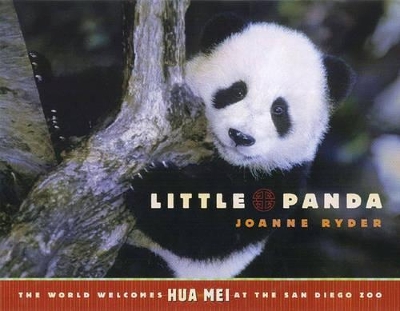 Little Panda book