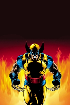 Wolverine book