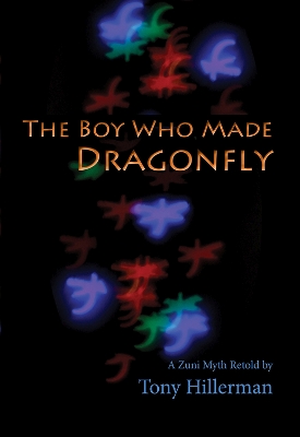 Boy Who Made Dragonfly book