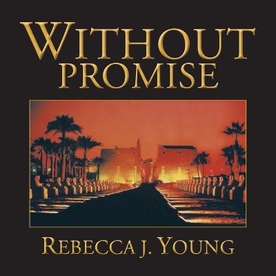 Without Promise book