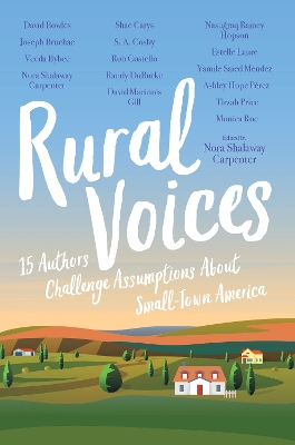 Rural Voices: 15 Authors Challenge Assumptions About Small-Town America book