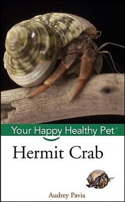 Hermit Crab by Audrey Pavia